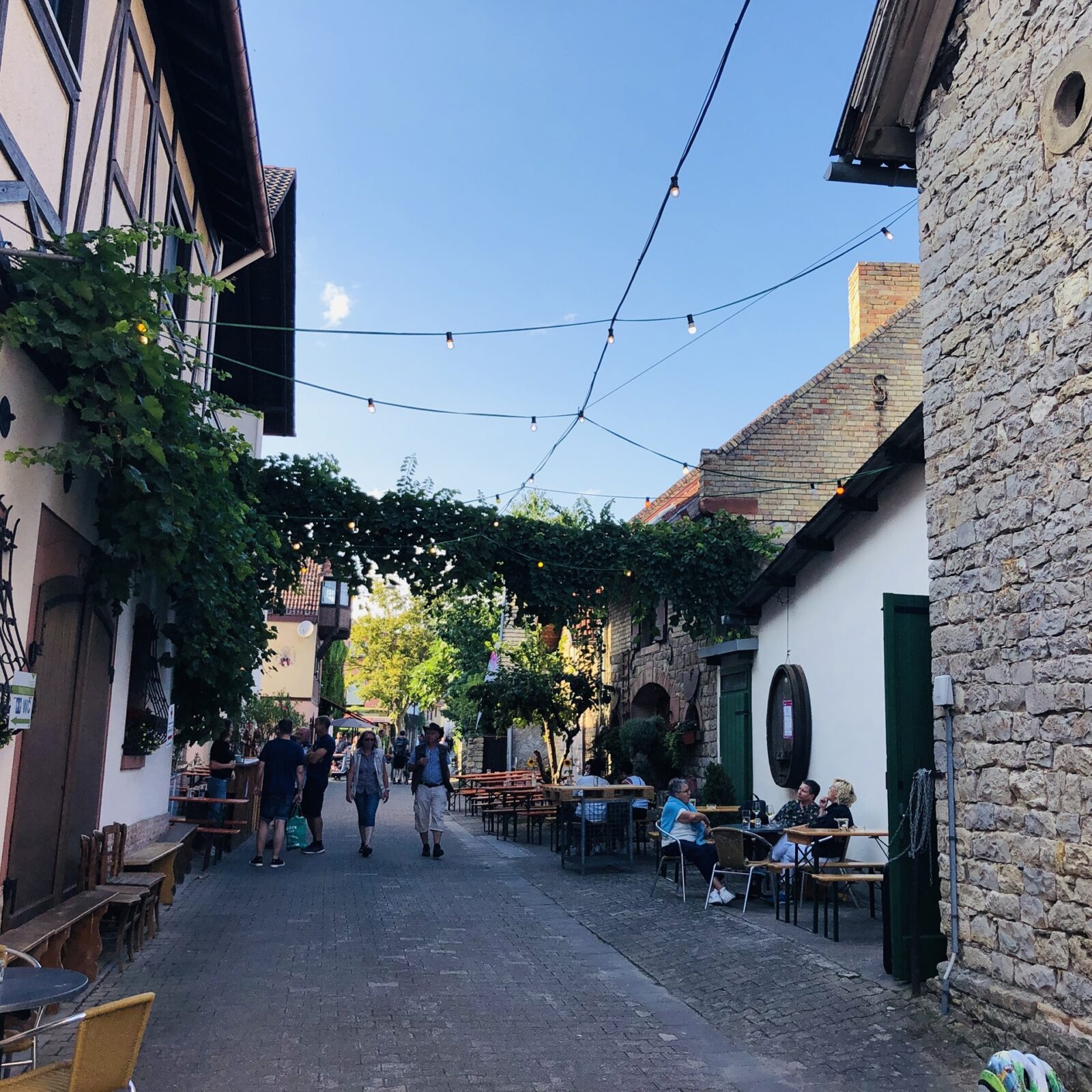 2025_Kellerwegfest_Guntersblum_Seitenkopf