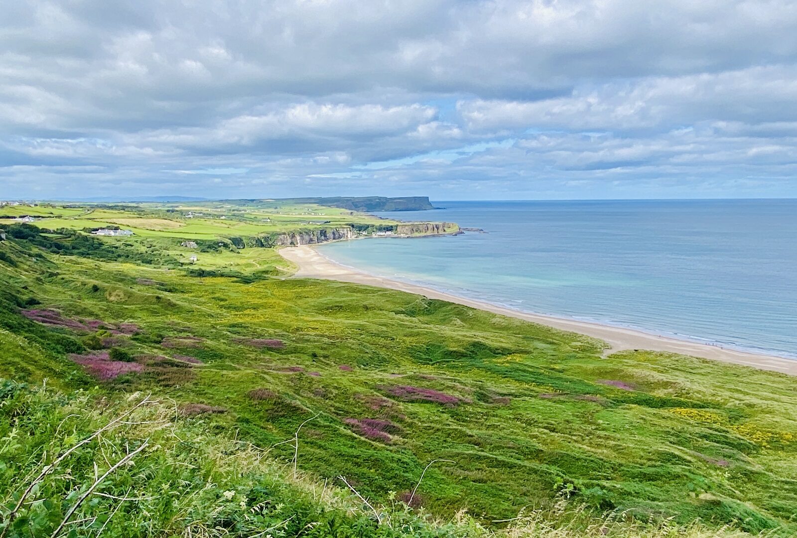 2026_Königreich_Großbritannien_Bild_6