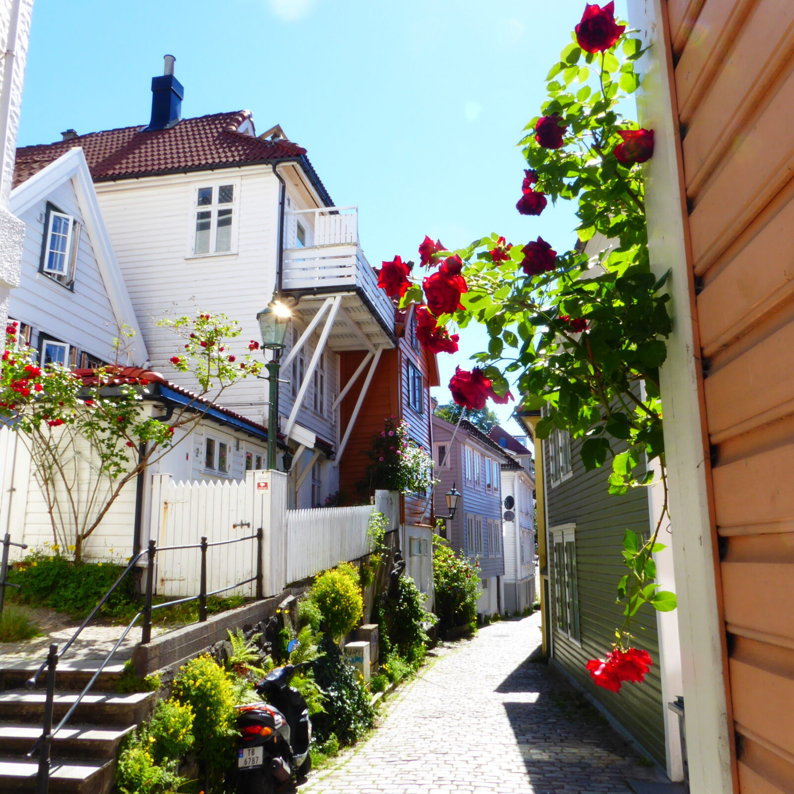 2026_Norwegen_Lofoten_Nordkap_Bild_1