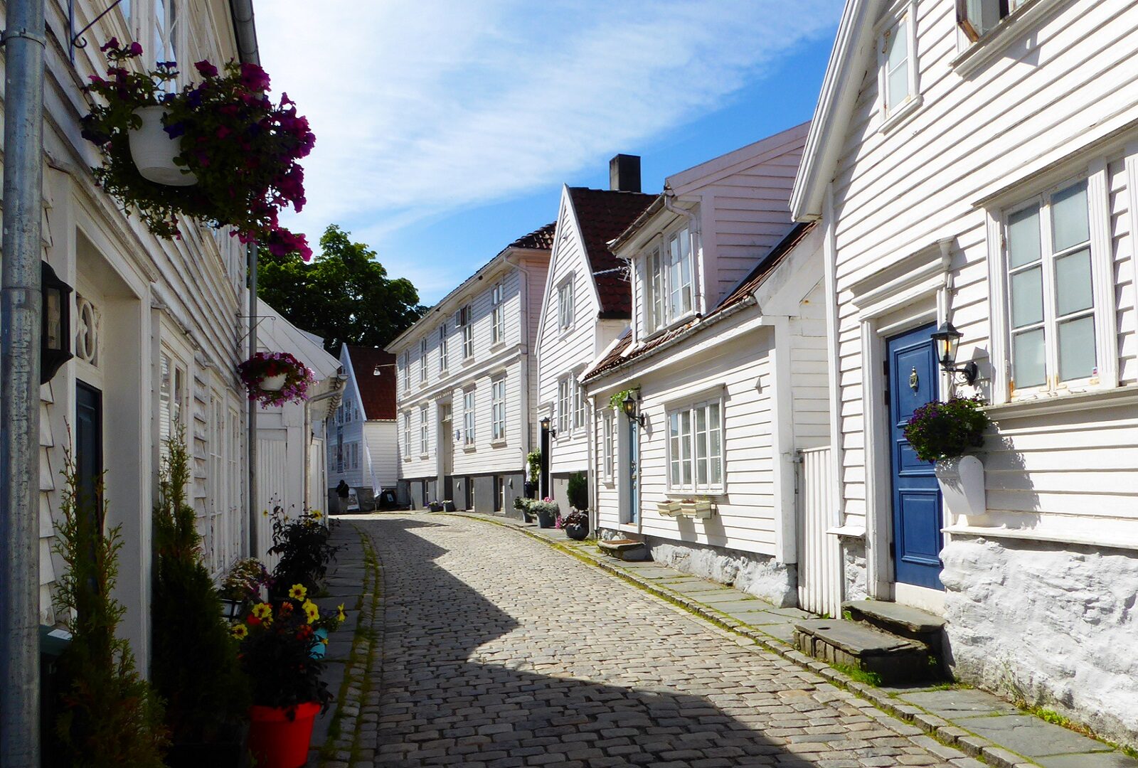 2026_Norwegen_Lofoten_Nordkap_Bild_6