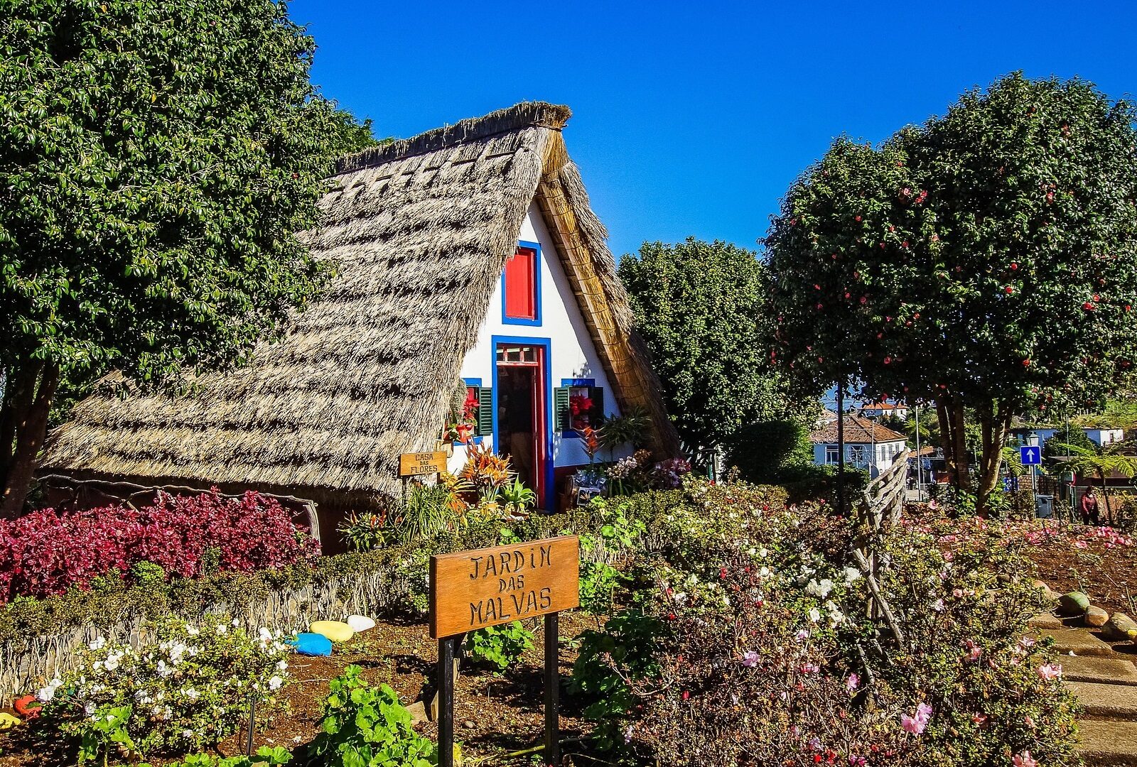 2027_Winterpause_Azoren_Bild_6