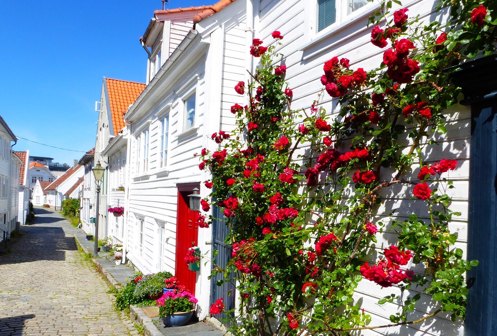 2027_Norwegens_Fjorde_Bild_7