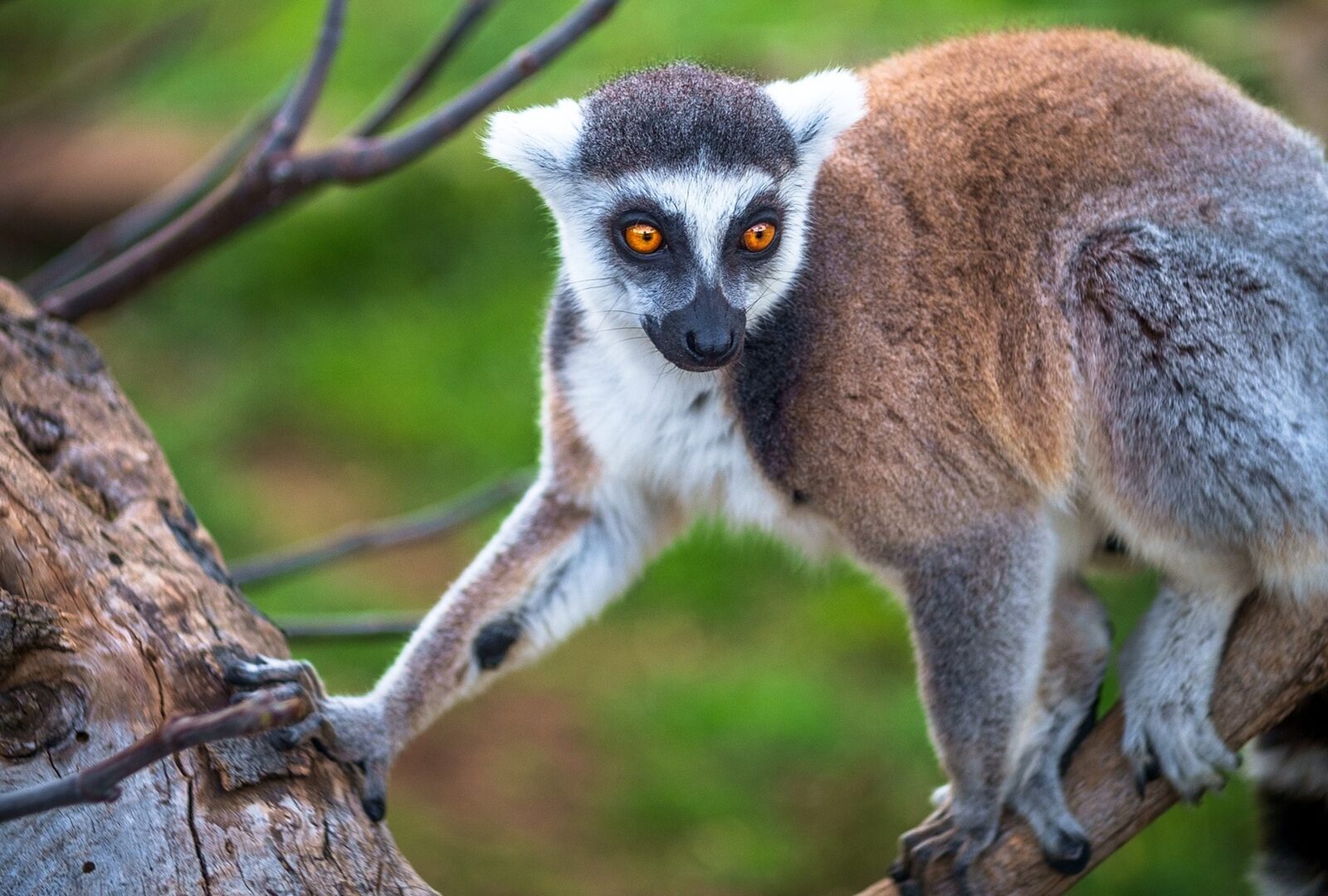 2028_Mauritius_Seychellen_Madagaskar_Bild_4