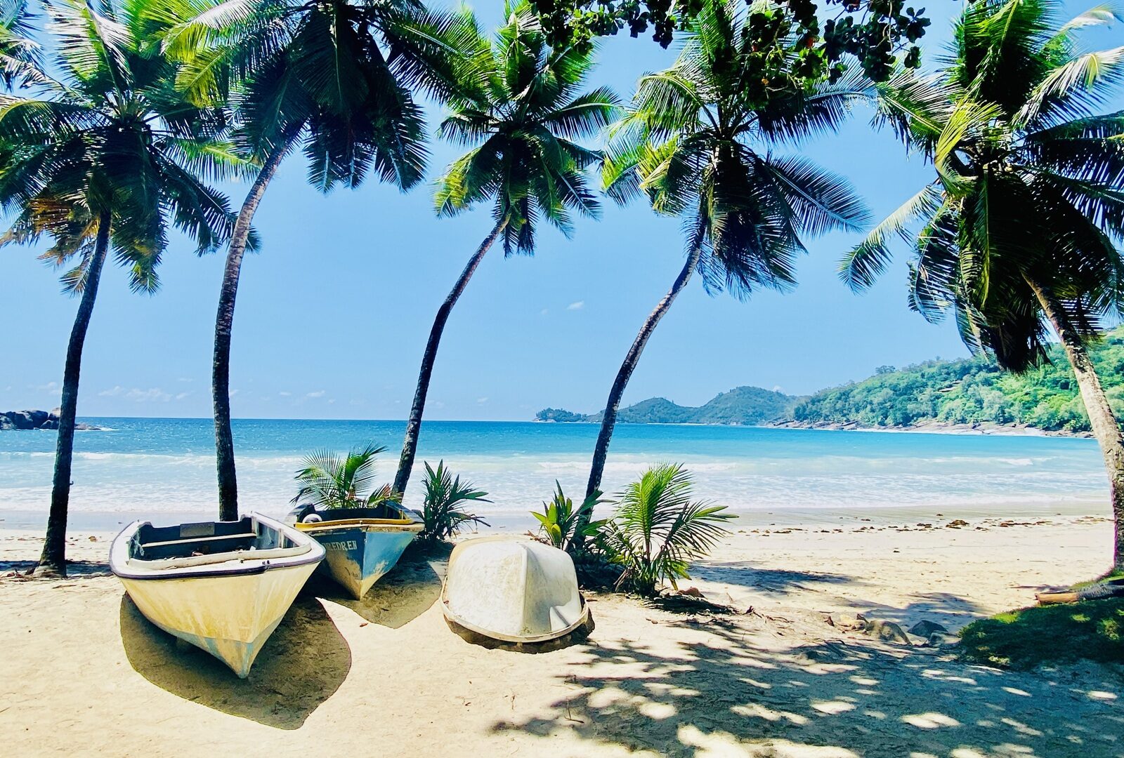 2028_Mauritius_Seychellen_Madagaskar_Bild_7