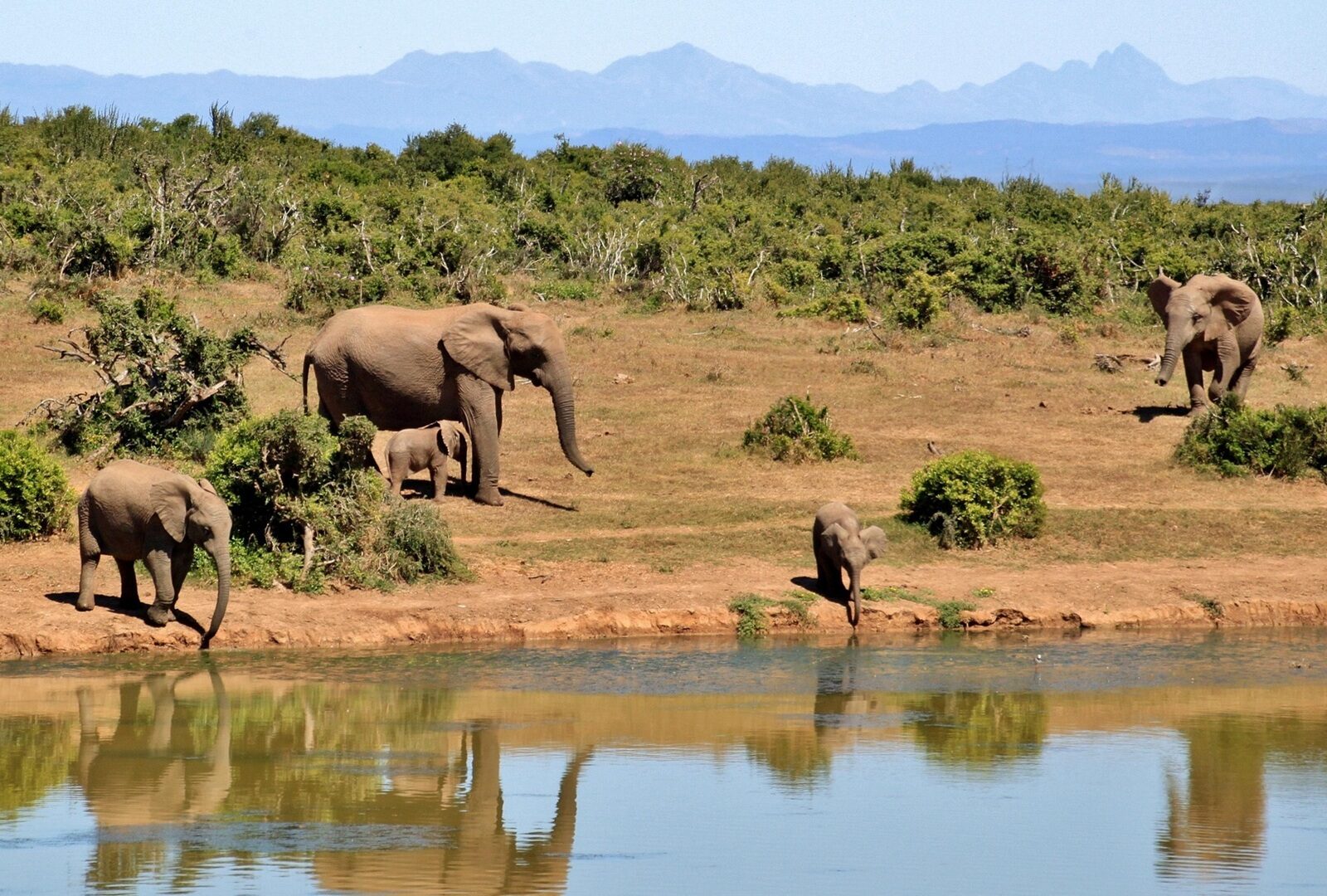 2028_Südafrika_Namibia_Bild_5