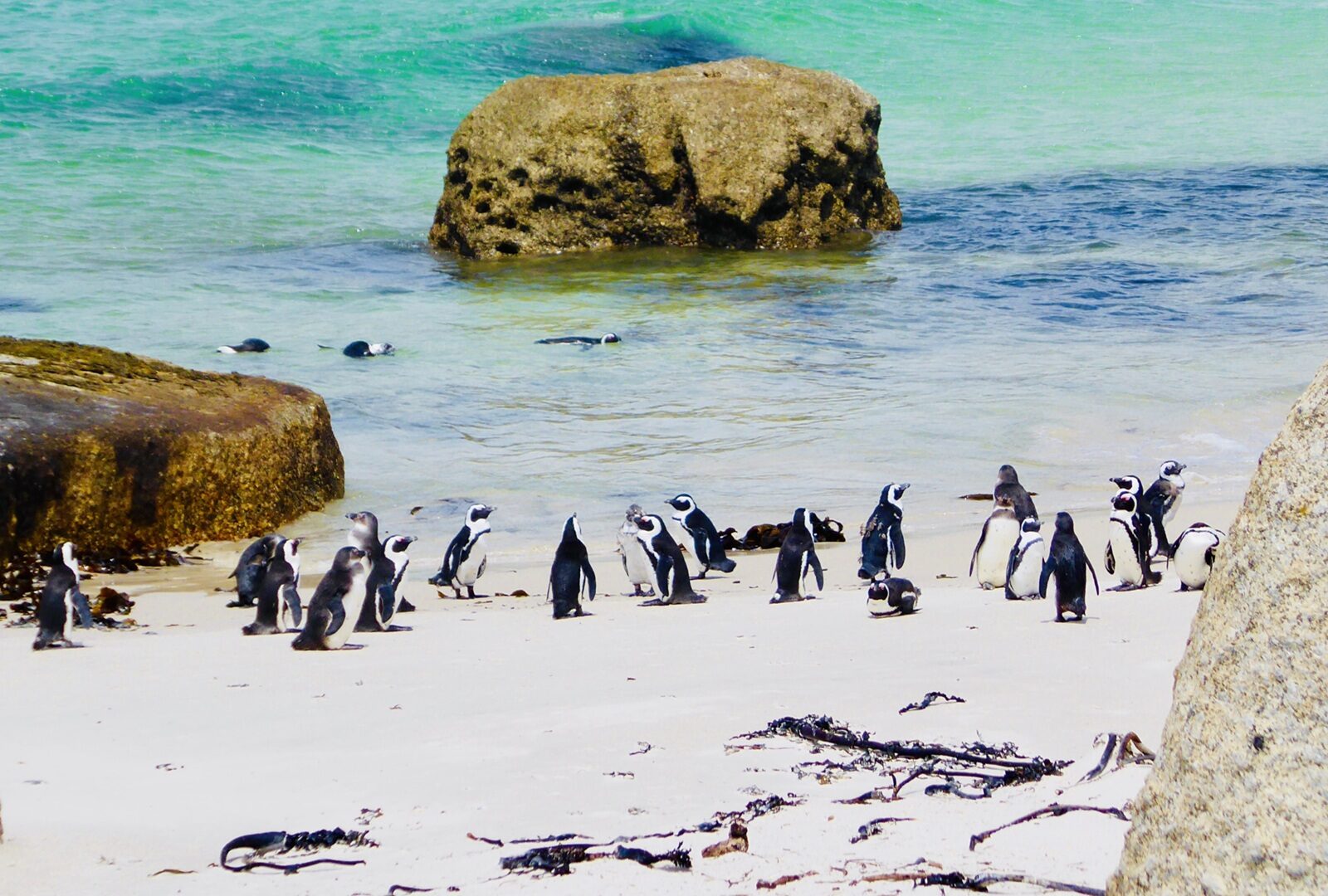 2028_Südafrika_Namibia_Bild_9